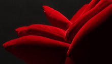 Load image into Gallery viewer, Rose Chair