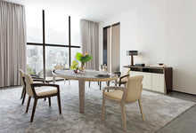 Load image into Gallery viewer, W013D5 DINING CHAIR
