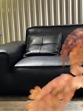 Load image into Gallery viewer, ITALIAN MINIMALIST STYLE BIG BLACK COW SOFA VJ2-2359 SOFA
