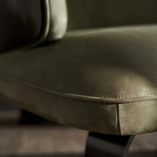 Load image into Gallery viewer, NG-AC21-349 LEISURE CHAIR
